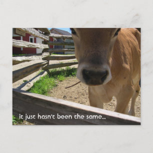 Youth Group Invitation Postcard