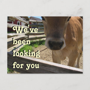 Youth Group Invitation Postcard