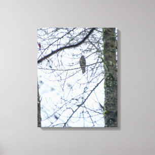 Youth on the Edge Stretched Canvas Print
