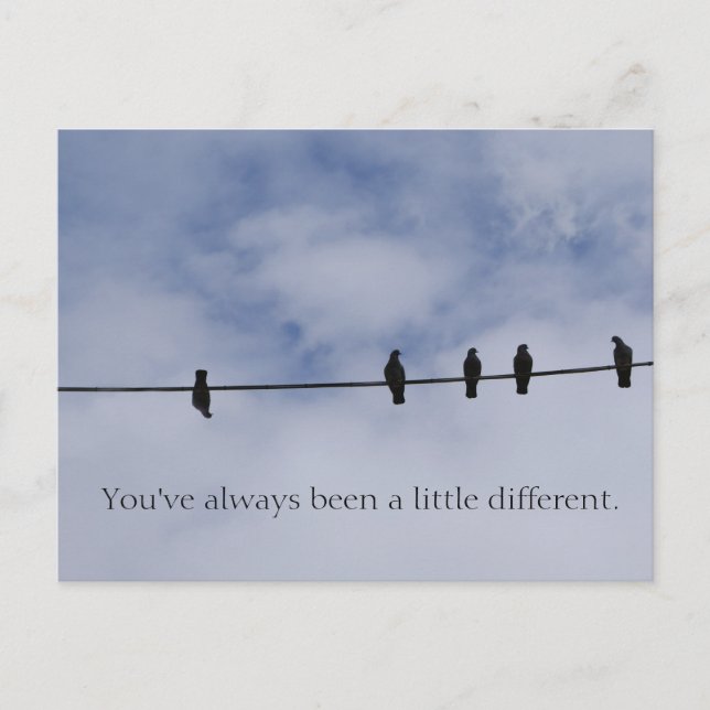 You've Always Been A Little Different Postcard (Front)