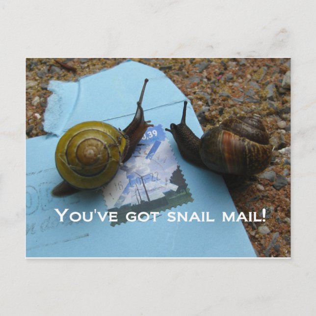 You've got snail mail postcard (Front)