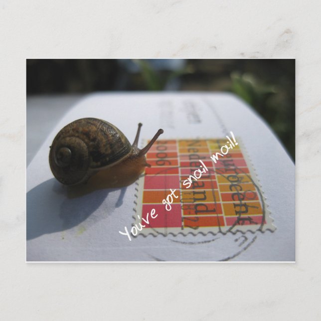 you've got snail mail postcard (Front)