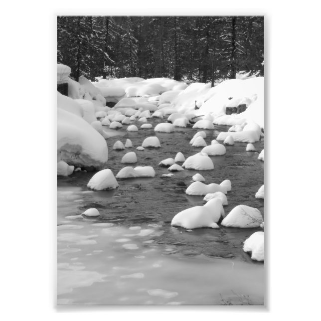 Yuba River Photo Print (Front)