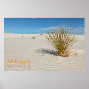 Yucca at White Sands Poster