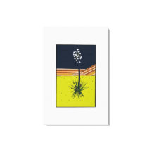 YUCCA