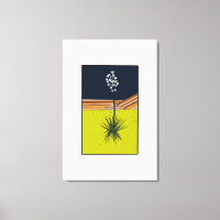 YUCCA