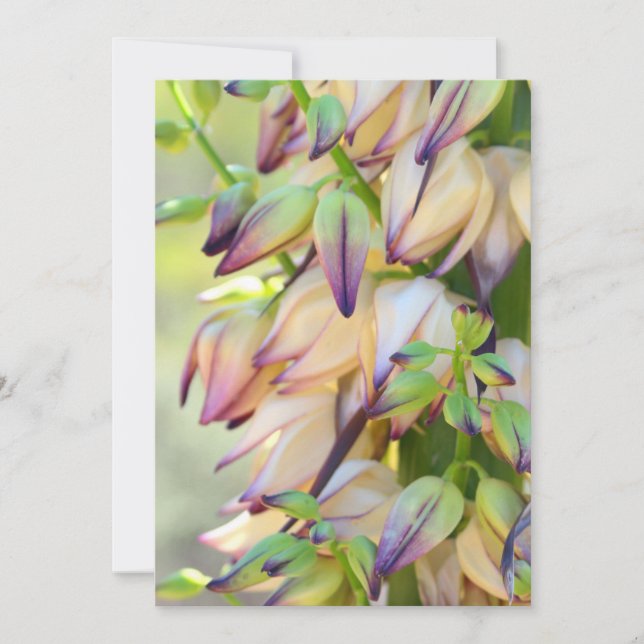 Yucca flowers invitation card (Front)
