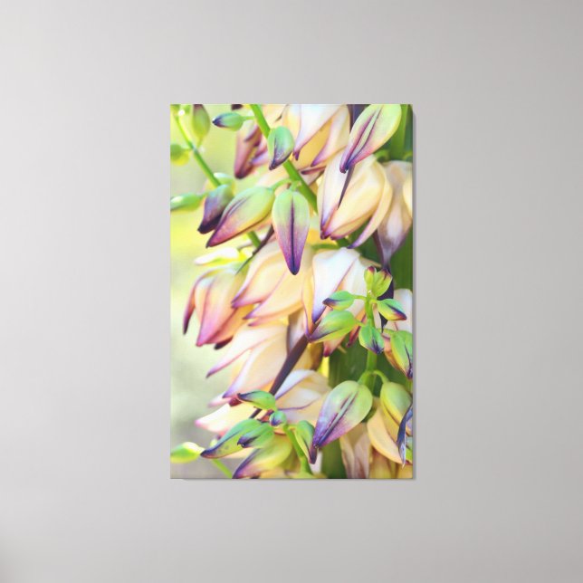 yucca flowers wrapped canvas (Front)