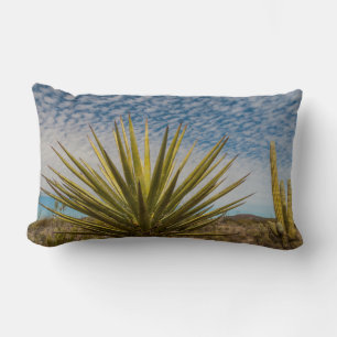 Yucca In The Desert, Mexico Lumbar Cushion