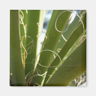 Yucca Leaves Green Abstract Nature Photography Magnet