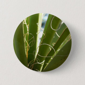 Yucca Leaves Green Nature Photography 6 Cm Round Badge