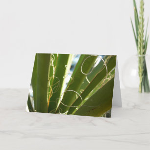 Yucca Leaves Green Nature Photography Card