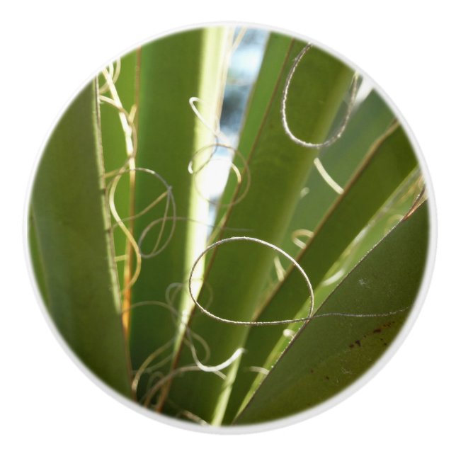 Yucca Leaves Green Nature Photography Ceramic Knob (Front)