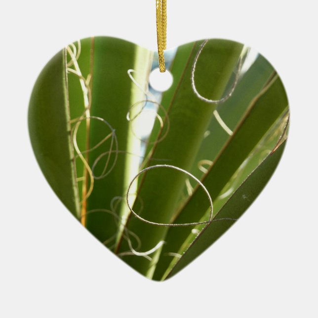 Yucca Leaves Green Nature Photography Ceramic Tree Decoration (Front)