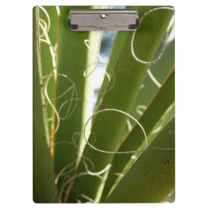 Yucca Leaves Green Nature Photography Clipboard