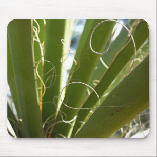 Yucca Leaves Green Nature Photography Mouse Pad