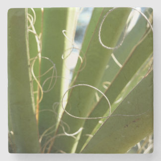 Yucca Leaves Green Nature Photography Stone Coaster