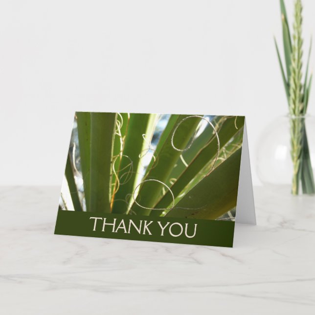 Yucca Leaves Green Nature Photography Thank You Card (Front)