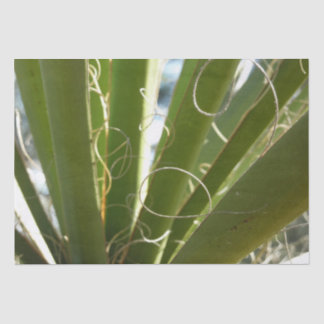 Yucca Leaves Green Nature Photography Tissue Paper