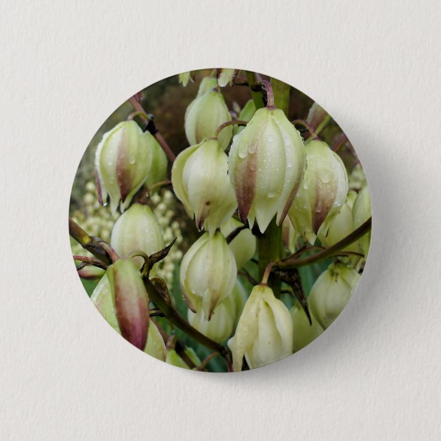 Yucca Plant Badge (Front)