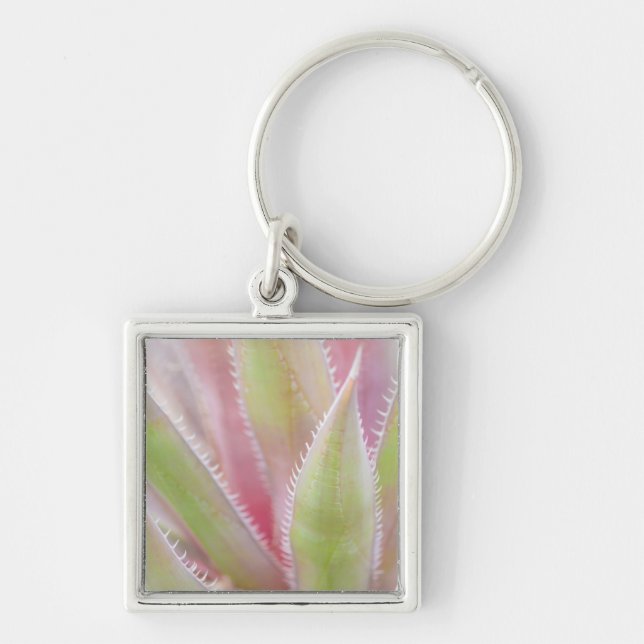 Yucca plant close-up key ring (Front)