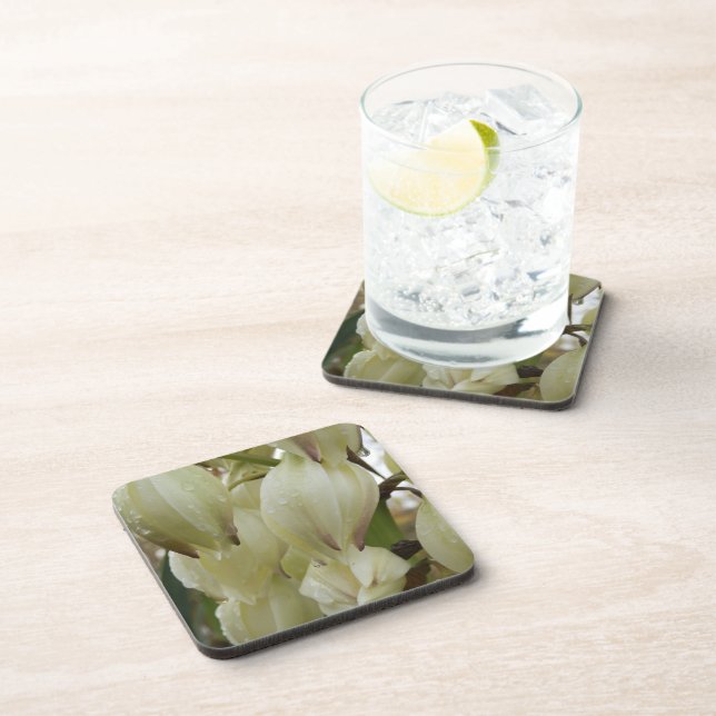 Yucca Plant  Coaster (Right Side)