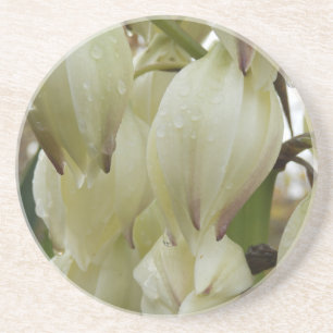 Yucca Plant  Coaster