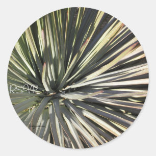 Yucca Radial RSVP Wedding Seals Sticker