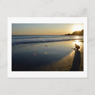 Yuigahama Beach: Kamakura, Japan Postcard