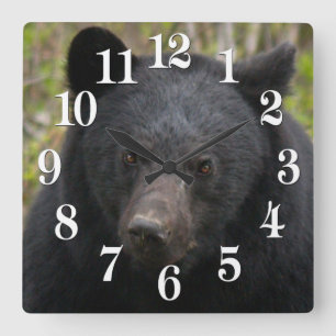 Yukon Black Bear & Wilderness Photo Art Square Wall Clock
