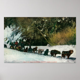 Yukon Dog Team Freighting Through Alaska Canyon Poster