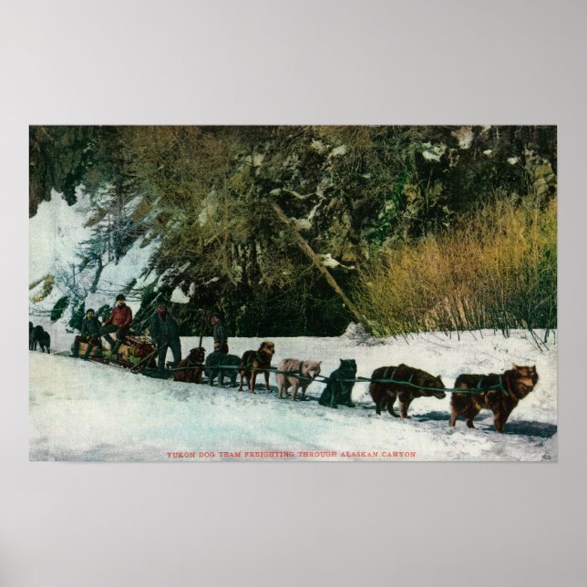 Yukon Dog Team Freighting Through Alaska Canyon Poster (Front)