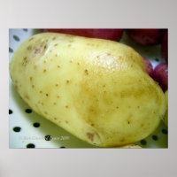 Yukon Gold potato