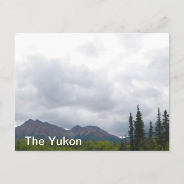 Yukon Landscape Postcard (Front)