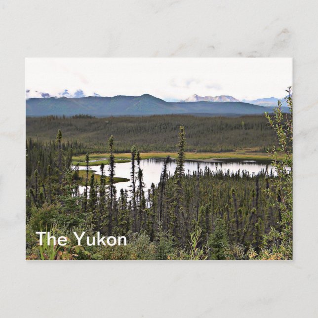 Yukon Pond Postcard (Front)