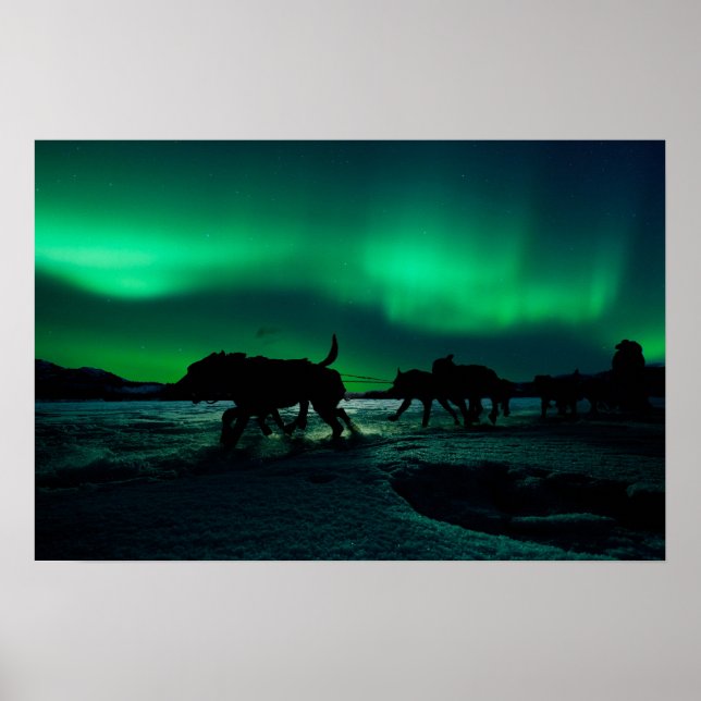 Yukon Quest Magic Poster (Front)