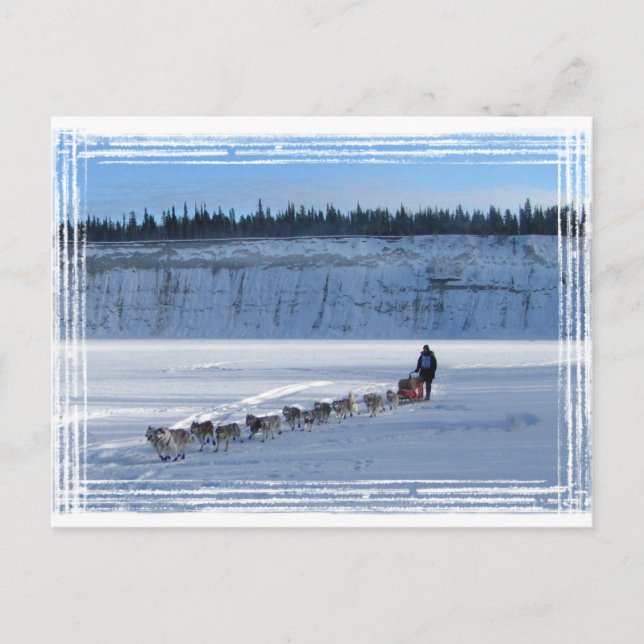 Yukon Quest Team Postcard (Front)