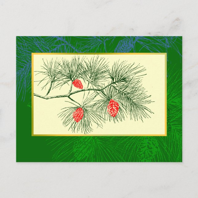 Yule Pine Branch Vintage Art Post Card (Front)