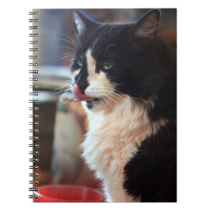 Yum! Tasty Kitty Treats! Spiral Notebook