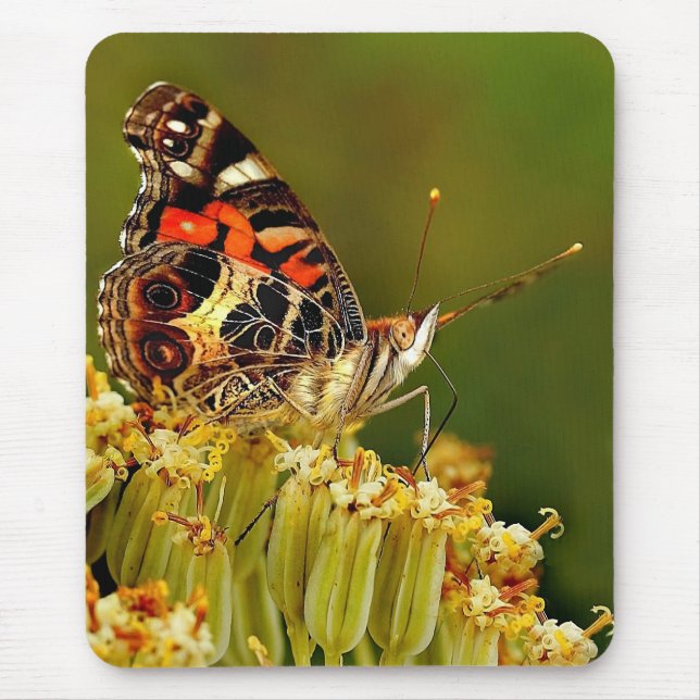 Yummm!!! Mouse Pad (Front)