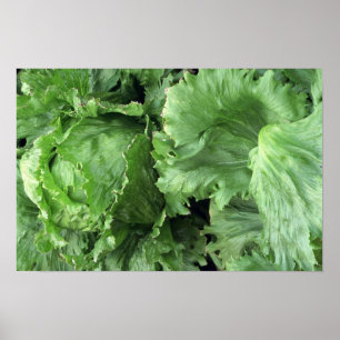 Yummy Iceberg lettuce Poster