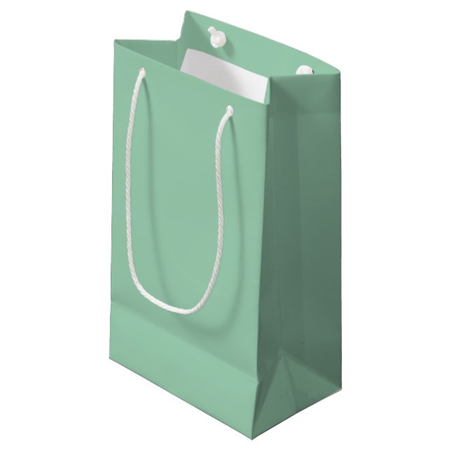 Yummy Mint Green Solid Colour Small Gift Bag (Front Angled)