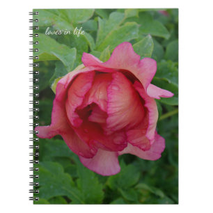 Yummy Pink Blooming Peony Notebook