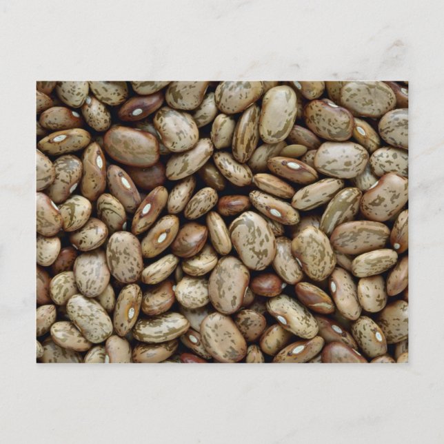 Yummy Pinto beans Postcard (Front)