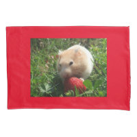 Yummy Strawberry Hammie