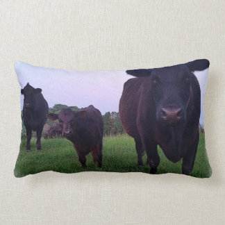 Yup Kow Now! Cow Pillow