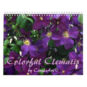 Z  Colourful Clematis 2013 Calendar
