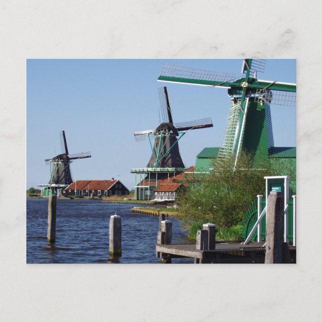 Zaanse Schans Dutch windmills in green and white Postcard (Front)