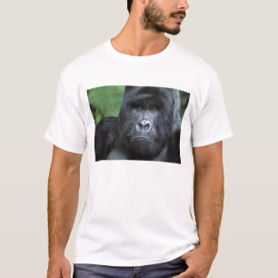 Zaire, Virungas National Park. Portrait of T-Shirt