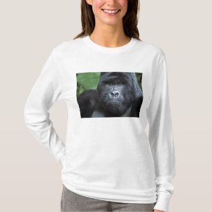 Zaire, Virungas National Park. Portrait of T-Shirt